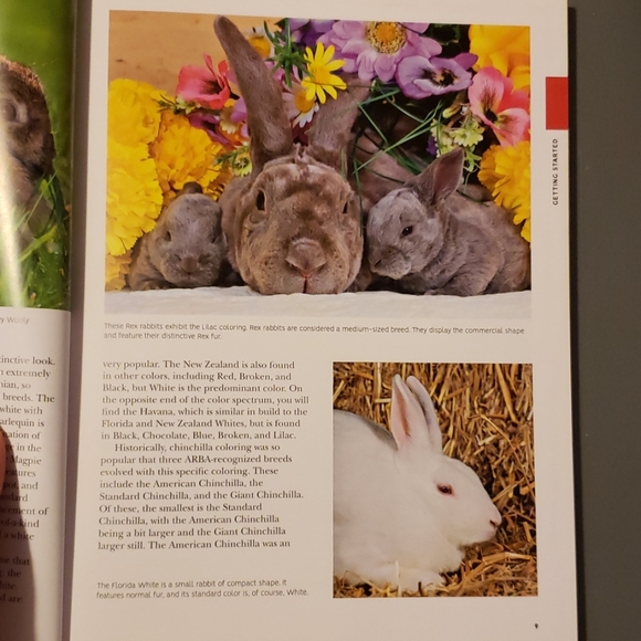 How to Raise Rabbits book - Picture 6 of 8